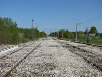 Станция Радофинниково. Вид в сторону Новолисино.